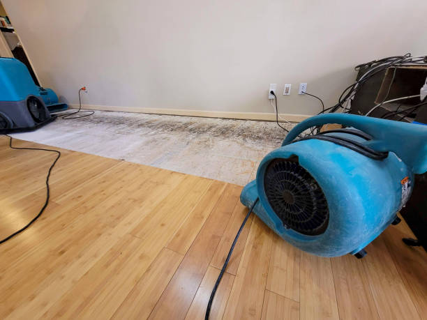 Professional Basement Flood Cleanup technician working in Newalla, OK